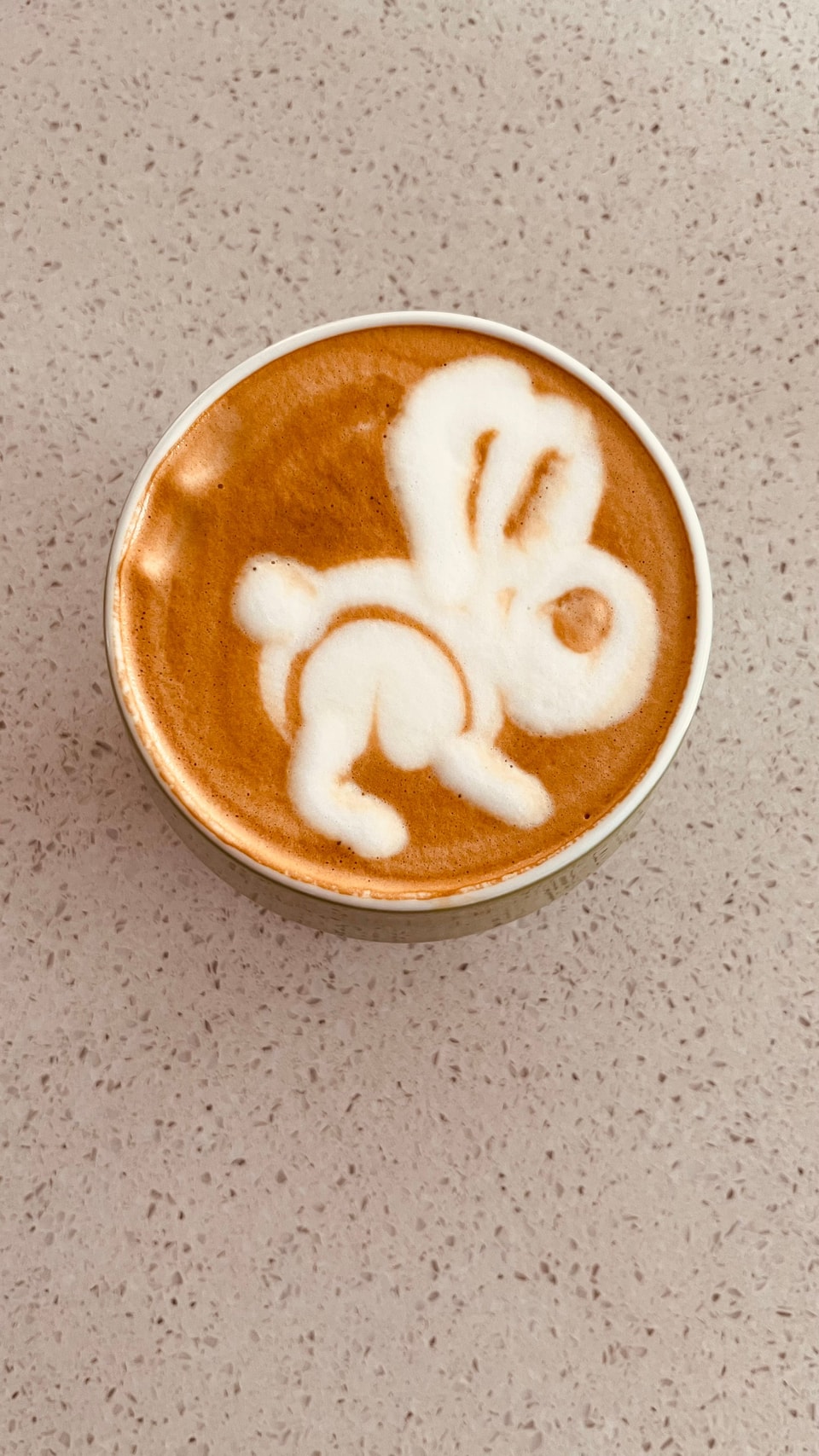 Bunny.jpg
